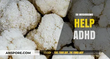Mushrooms: Natural ADHD Treatment?