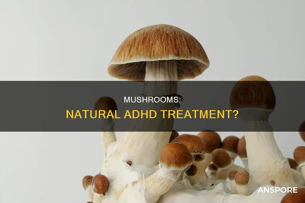 do mushrooms help adhd
