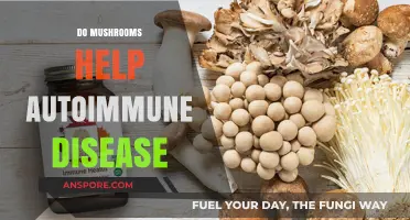 Mushrooms: Autoimmune Disease Ally or Enemy?