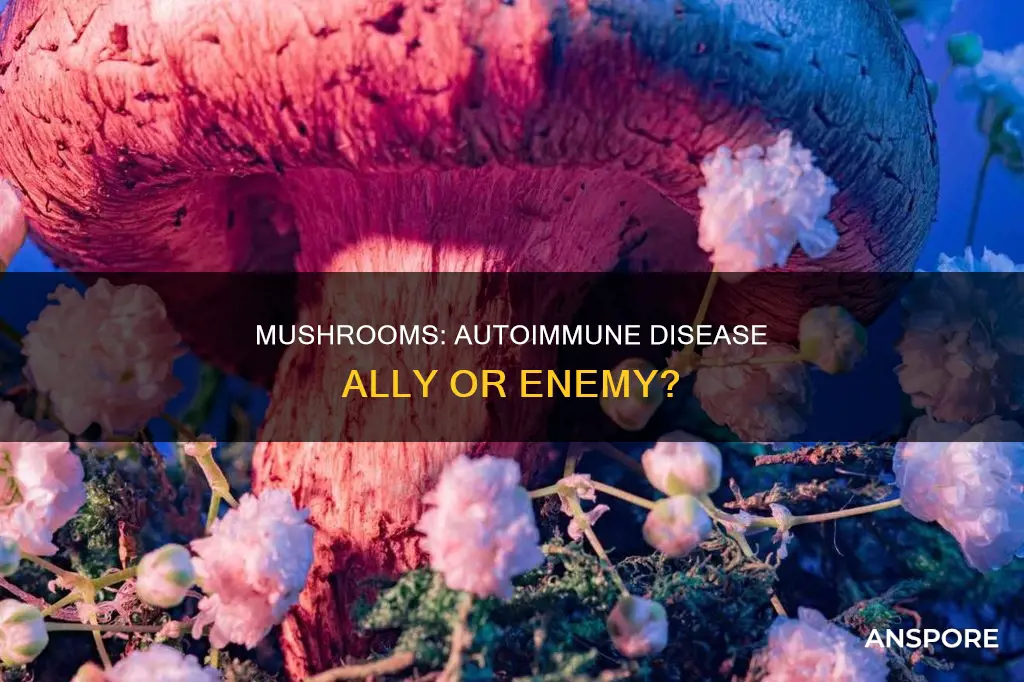 do mushrooms help autoimmune disease