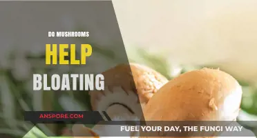 Mushrooms: A Natural Remedy for Bloating?