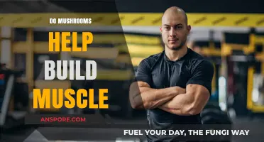 Mushrooms: The Secret to Building Muscle?