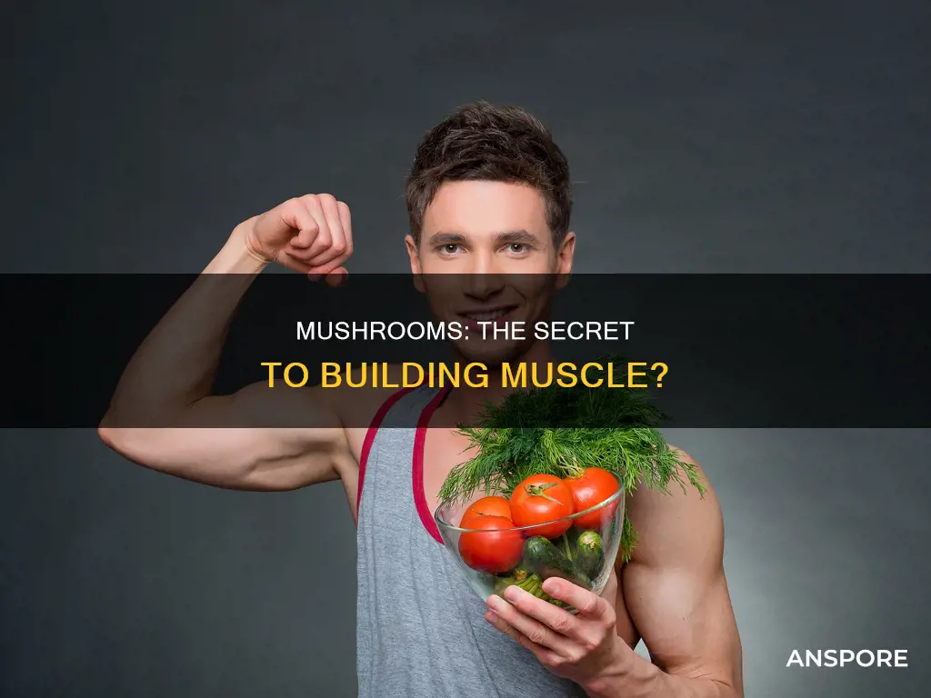 do mushrooms help build muscle