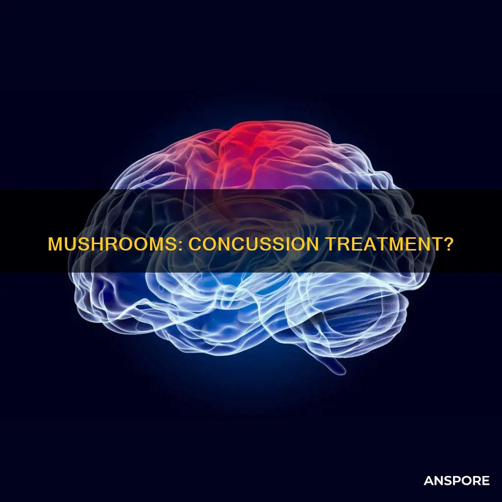 do mushrooms help concussions