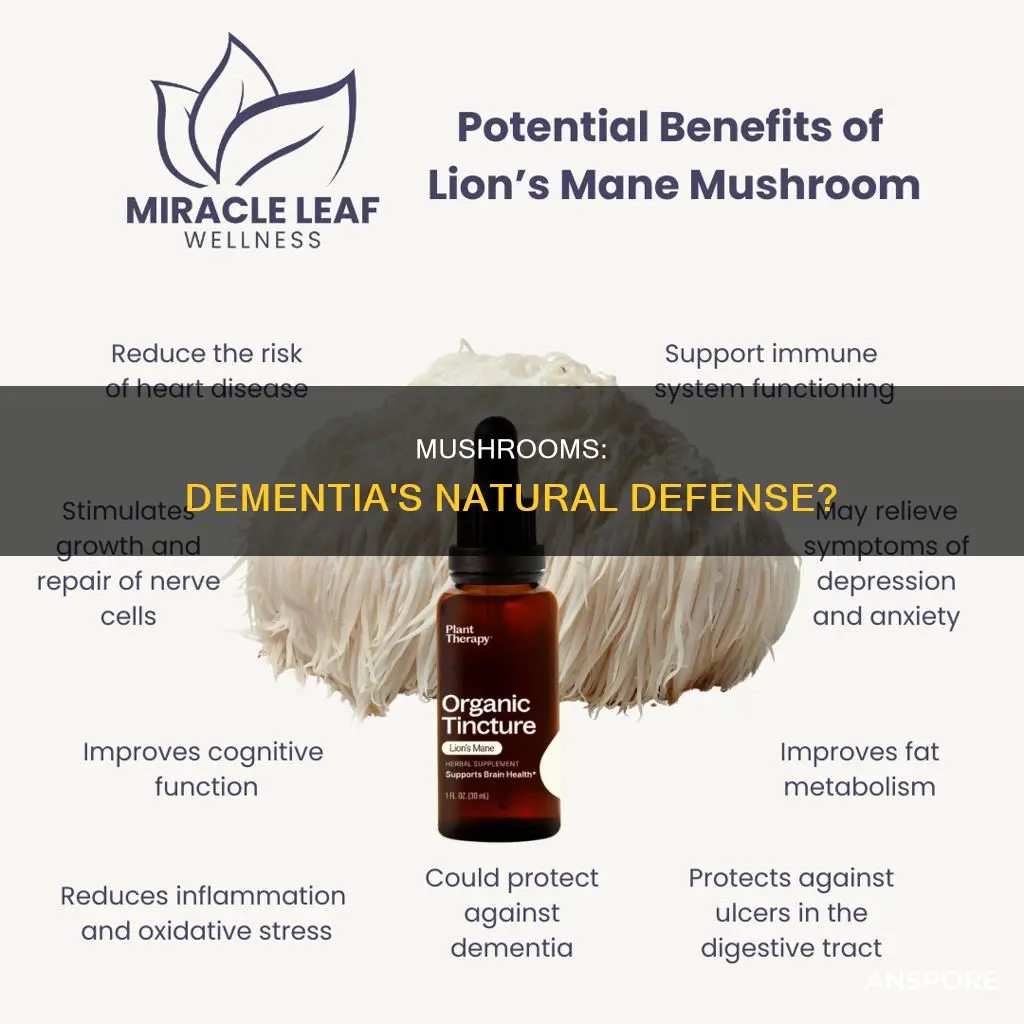 do mushrooms help dementia