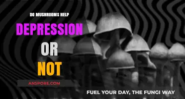 Mushrooms and Mental Health: Can Fungi Fight Depression?