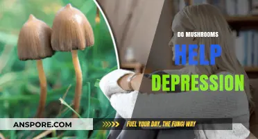 Mushrooms: Natural Treatment for Depression?