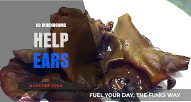 Mushrooms: Natural Hearing Aid?