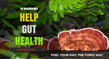 Mushrooms: Superfood for Gut Health?