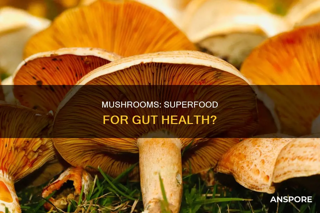do mushrooms help gut health