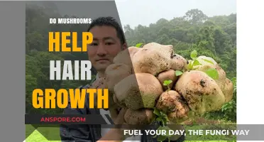 Mushrooms: Superfood for Hair Growth?