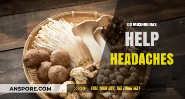 Can Mushrooms Cure Headaches?