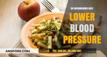 Mushrooms and Blood Pressure: Unveiling Their Potential Hypertension-Lowering Benefits