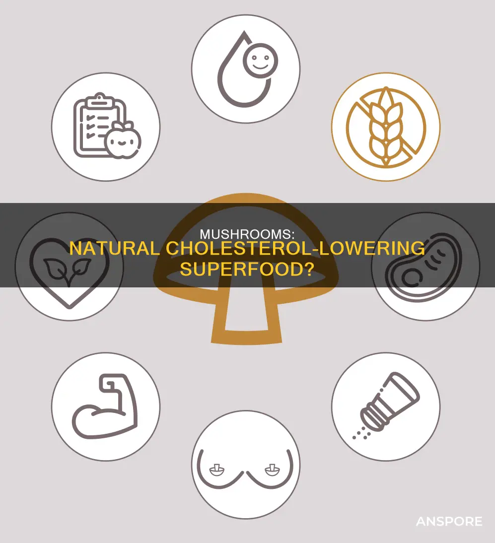 do mushrooms help lower cholesterol