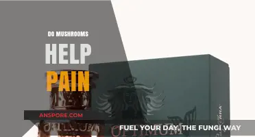 Mushrooms: Natural Pain Relief?