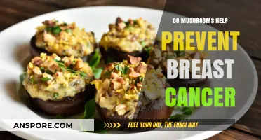 Mushrooms and Breast Cancer: Exploring Their Potential Preventive Benefits