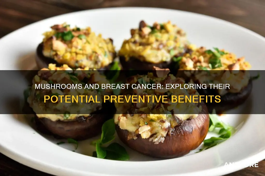 do mushrooms help prevent breast cancer