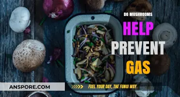 Mushrooms: Natural Solution to Gas and Bloating?