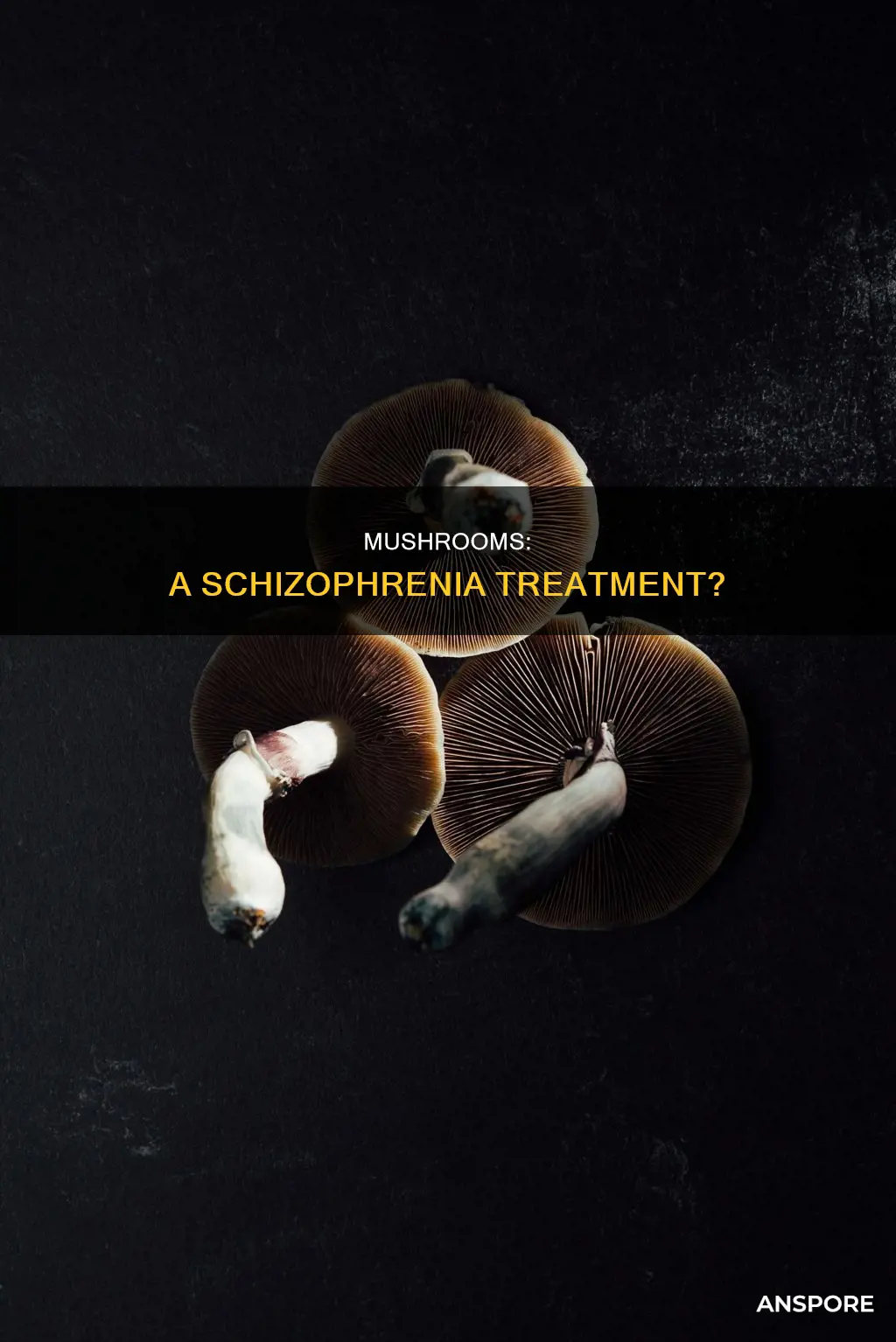do mushrooms help schizophrenia