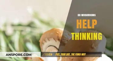 Mushrooms: Supercharging Your Brain?