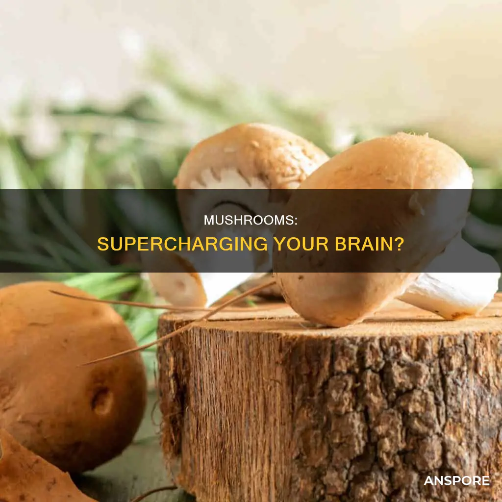 do mushrooms help thinking