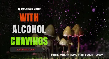 Mushrooms and Alcohol Cravings: Exploring Their Potential Role in Recovery