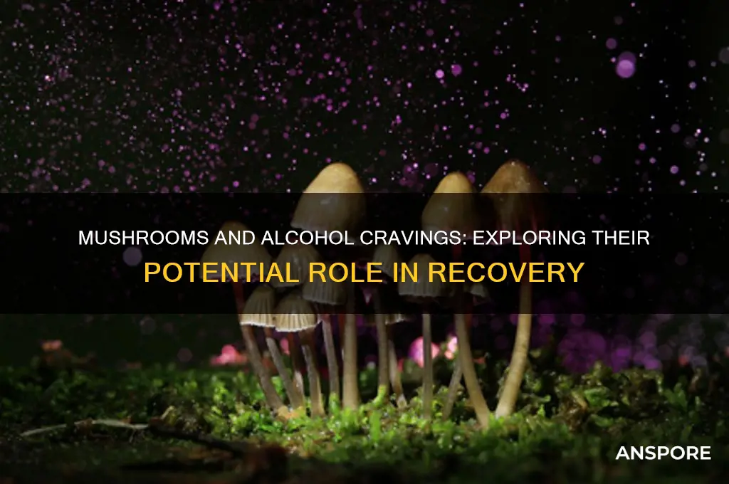 do mushrooms help with alcohol cravings
