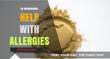 Mushrooms: Natural Allies Against Allergies?
