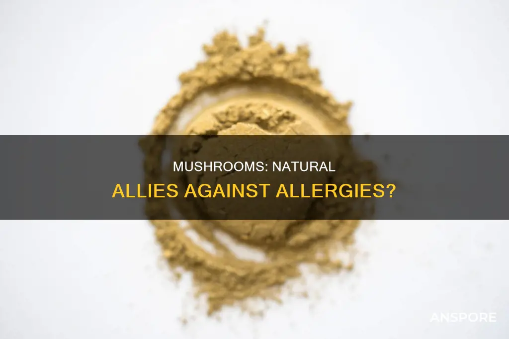 do mushrooms help with allergies