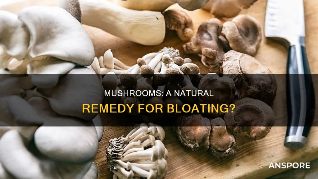 do mushrooms help with bloating