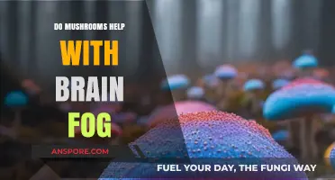 Mushrooms and Mental Clarity: Combating Brain Fog Naturally