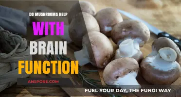 Boost Your Brain: Exploring Mushrooms' Cognitive Benefits and Potential