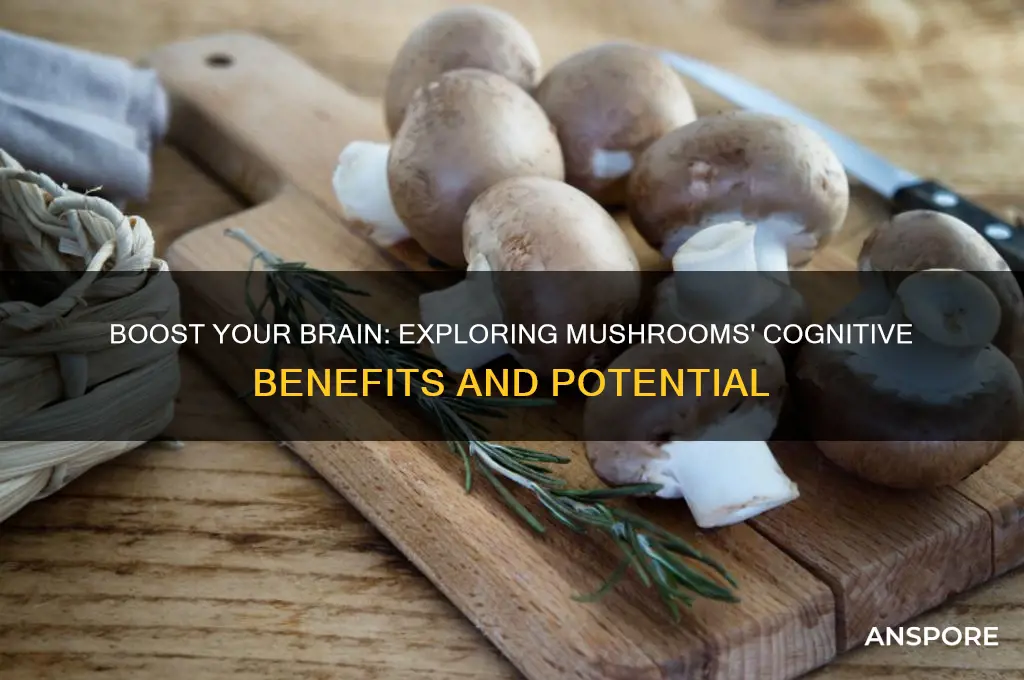 do mushrooms help with brain function