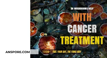 Mushrooms and Cancer: Exploring Their Role in Treatment and Recovery