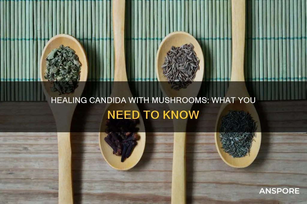 do mushrooms help with candida