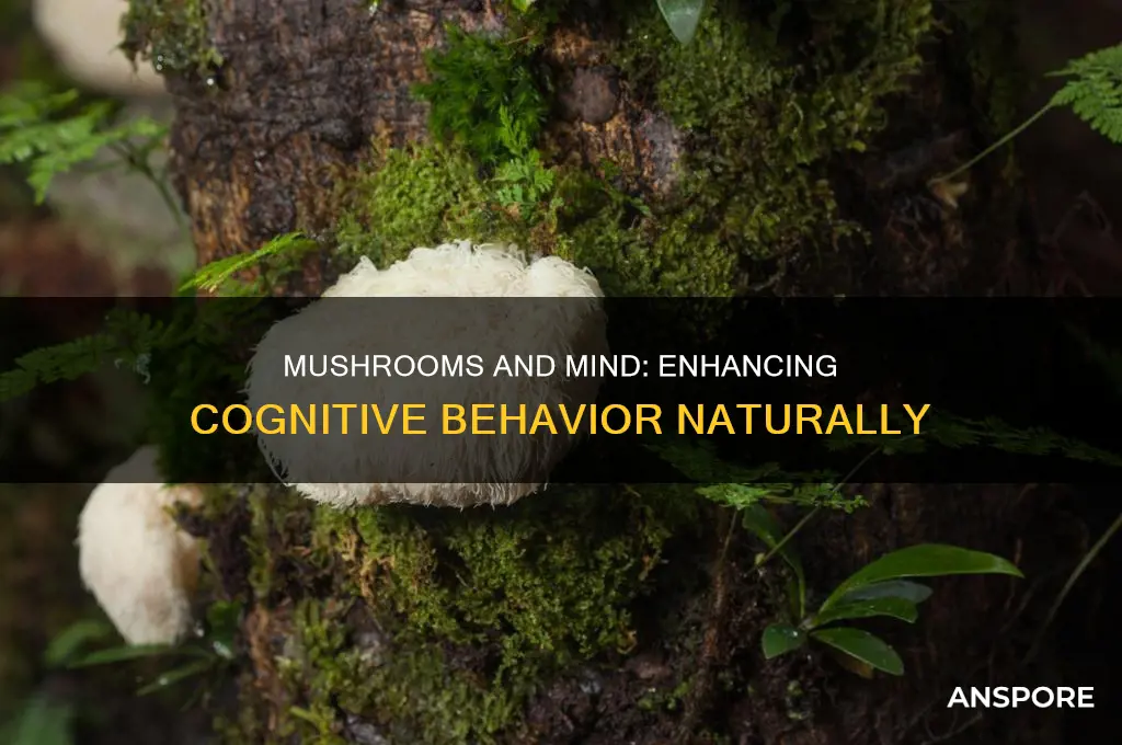 do mushrooms help with cognitive behavior