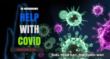 Mushrooms: Natural Allies Against COVID-19