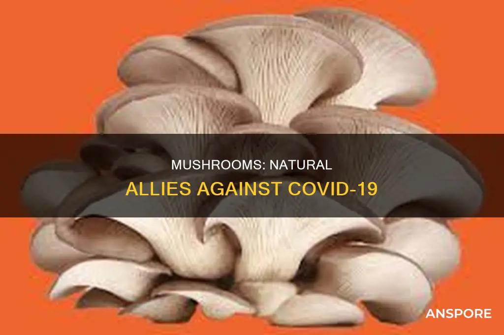 do mushrooms help with covid