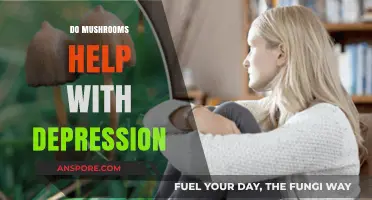 Mushrooms: Natural Treatment for Depression?