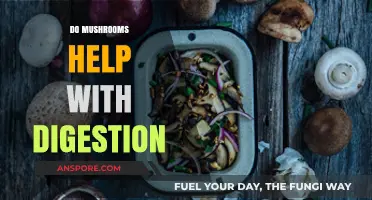 Mushrooms: Superfood for Gut Health?