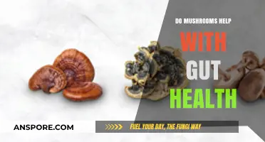 Mushrooms and Gut Health: Unlocking Digestive Benefits and Wellness