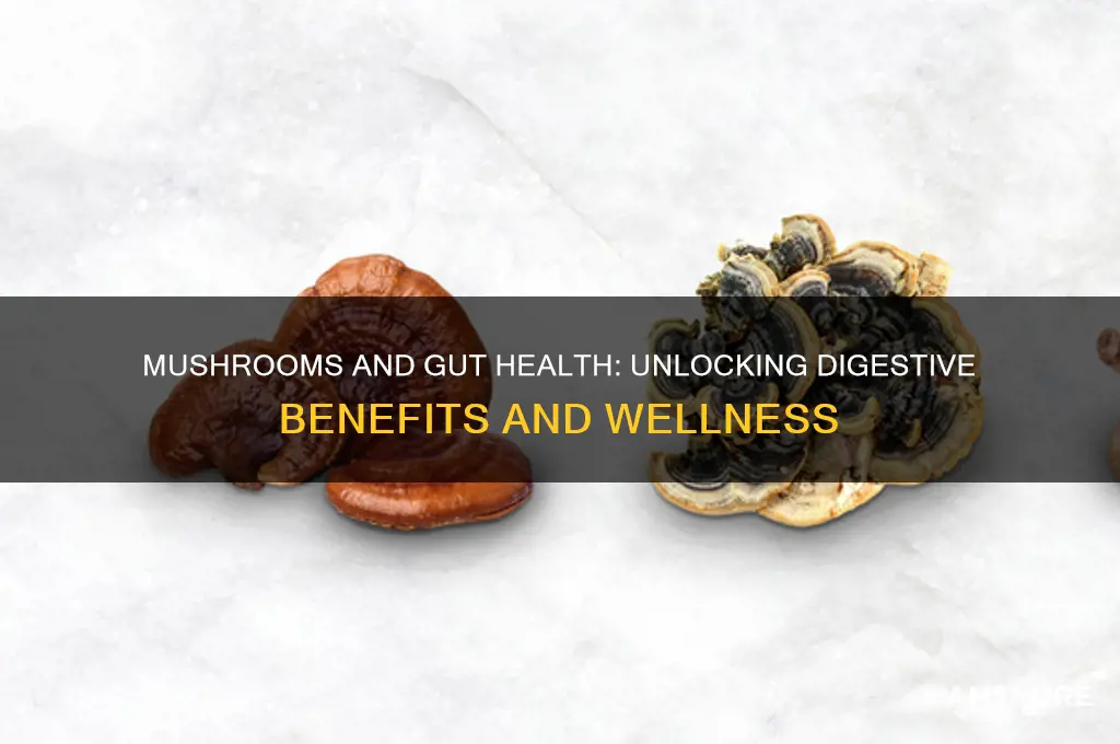 do mushrooms help with gut health