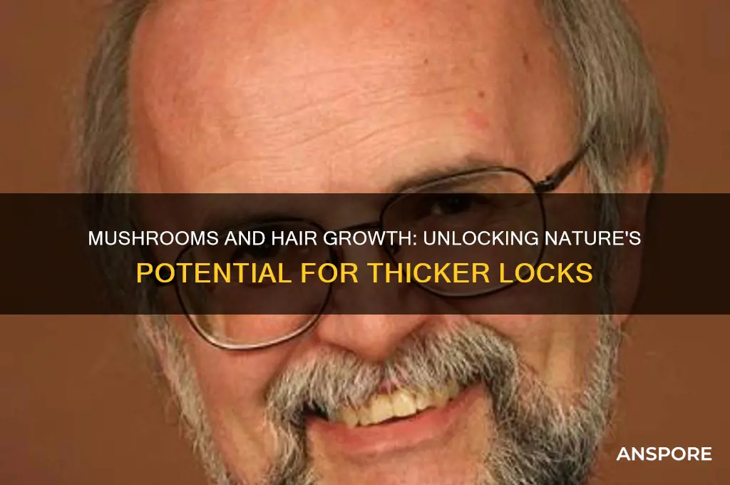 do mushrooms help with hair growth