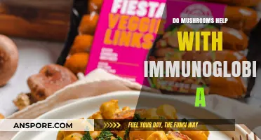 Boosting Immunity: Exploring Mushrooms' Role in Immunoglobulin A Production