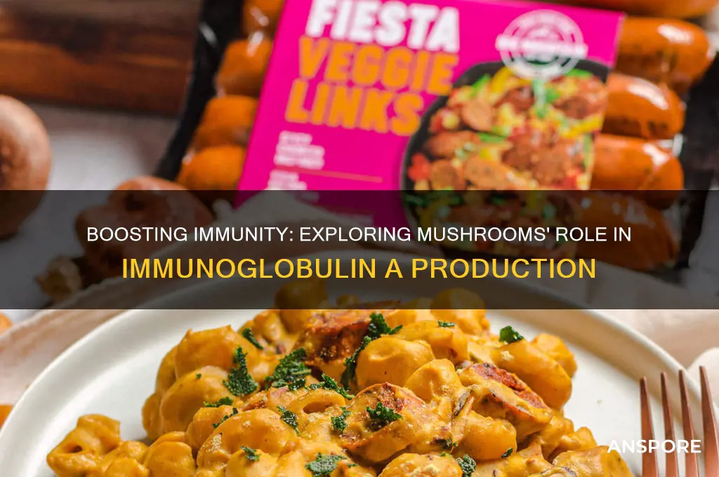 do mushrooms help with immunoglobin a