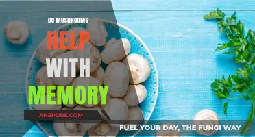 Mushrooms: Memory-Boosting Superfood?