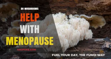 Menopause and Mushrooms: A Natural Remedy?