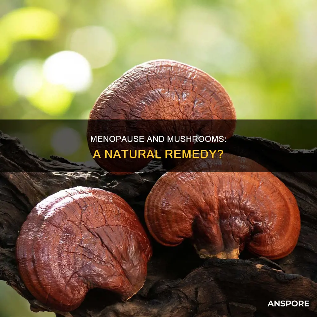 do mushrooms help with menopause