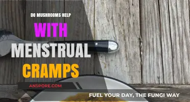 Mushrooms for Menstrual Cramps: Natural Relief or Myth?