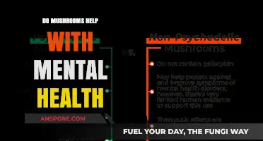 Mushrooms and Mental Health: Unveiling Nature's Potential for Wellness